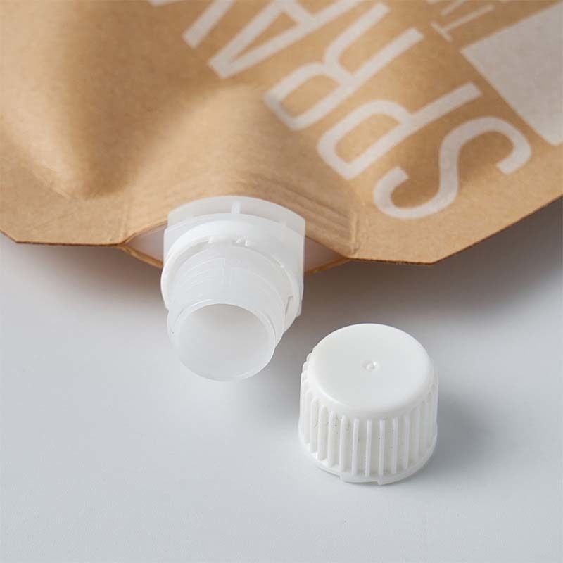 Custom Printed Aluminum Foil Spout Pouches With Handle Leak Proof Liquid Packaging Bags For Juice Wine Food Storage