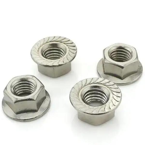 NXF ASTM UNS S31653 316LN/00Cr17Ni13Mo2N/s31653 M3-M16 Length0.4-85mm Stainless Steel 316LN Hexagonal Flange Nut