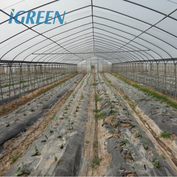 Commercial Large Single Layer Film Greenhouse with Cooling Pad Fan Internal External Shading Drip Irrigation Hydroponics System