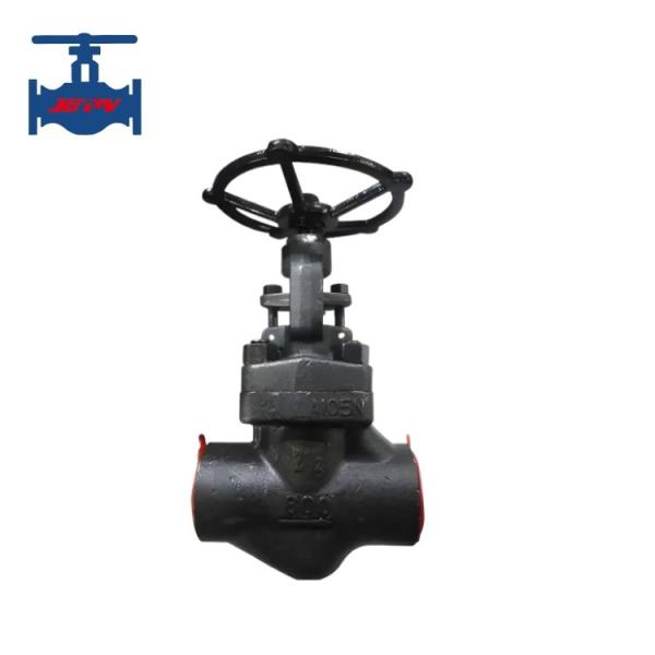 A105 F11 F22 F304 F316 F321 Forged  Globe Valve Cast Steel Stainless Steel