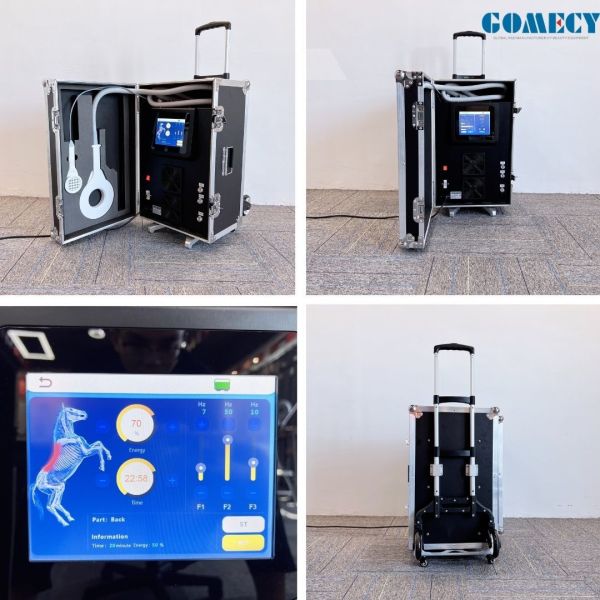 Dispositivo de rehabilitación física de terapia magnética para alivio del dolor veterinario para el cuidado de la salud equina