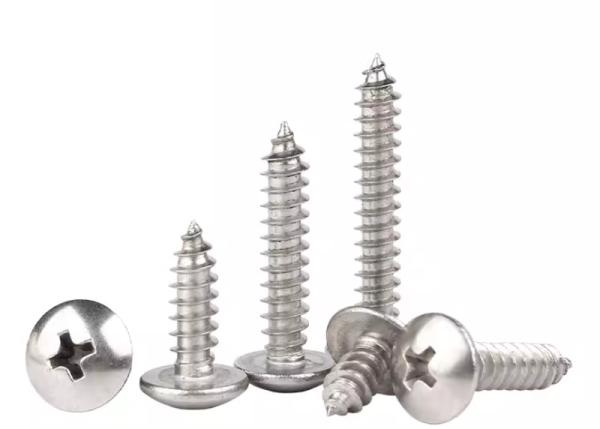 Top Quality Stainless Steel SS304 SS316 Phillips Pan Head Tapping Screw DIN7981