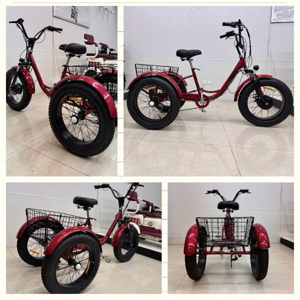 Scooter de mobilité électrique à 3 roues pour le loisir, pneus antidérapants, siège unique