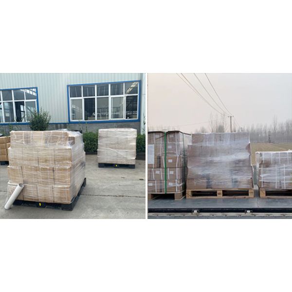 Сцепление труб Гидравлический шланг Шланг-феруль SAE100 R1AT 1SC SS Плетённый шланг