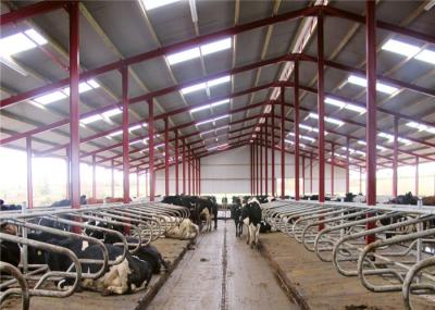 High Strength Light Steel Farm Sheds For Cattle Prefabricated Design 9406900090