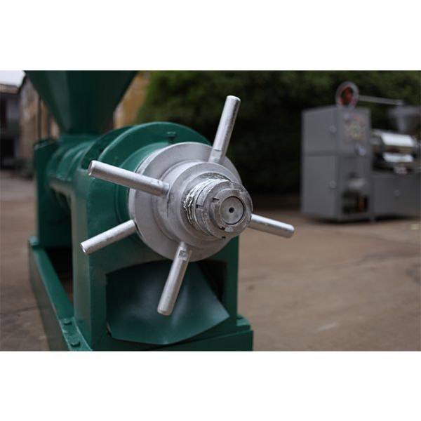 KG Industrial Oil Extractor High Oil Yield Cold Pressed Rosehip Oil Press Automatic Moringa Oil Pressers Pressing Machine