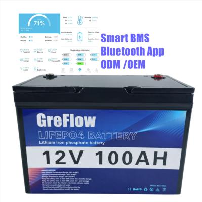 OEM ODM Plastic Case 12 Volt LiFePo4 Battery 12v 200ah Smart BMS long Life