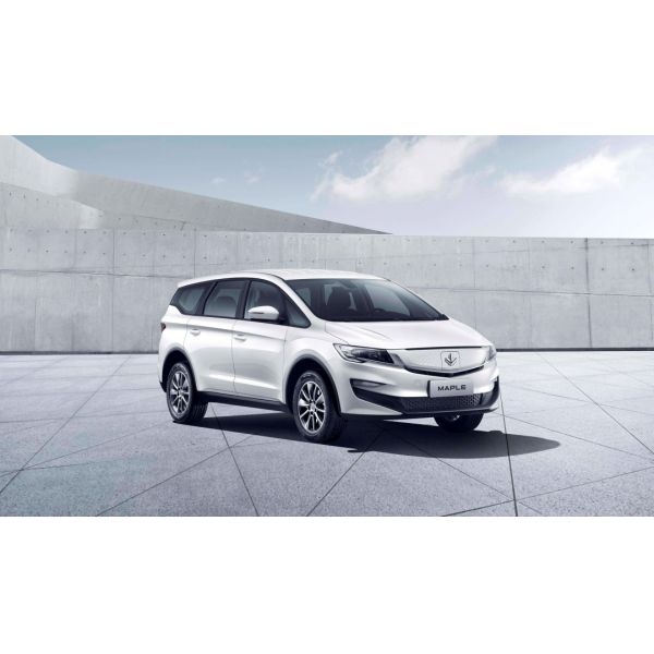 Прием дела электрического автомобиля Mpv места двери 6 автомобиля EV 5 кленового листа 80V Lifan