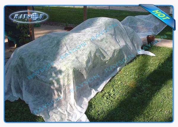 Anti UV Polypropylene Non Woven Fabric for Weed Control Garden Mat Agriculture Non Woven Cover