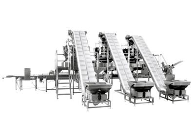 Máquina de ensaque de 90P/M Automatic Weighing And
