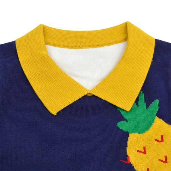 Картина ананаса Bespoke свитеры поворачивает вниз пуловер осени детей воротника