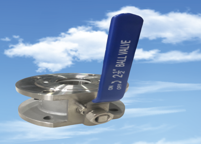 SS316 PN6 DN65 Stainless Valves Flange Connection