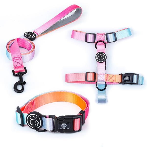 Gradient Waterproof Harness Collar Leash Set Blue Pink Purple Puppy Collar And Lead Set