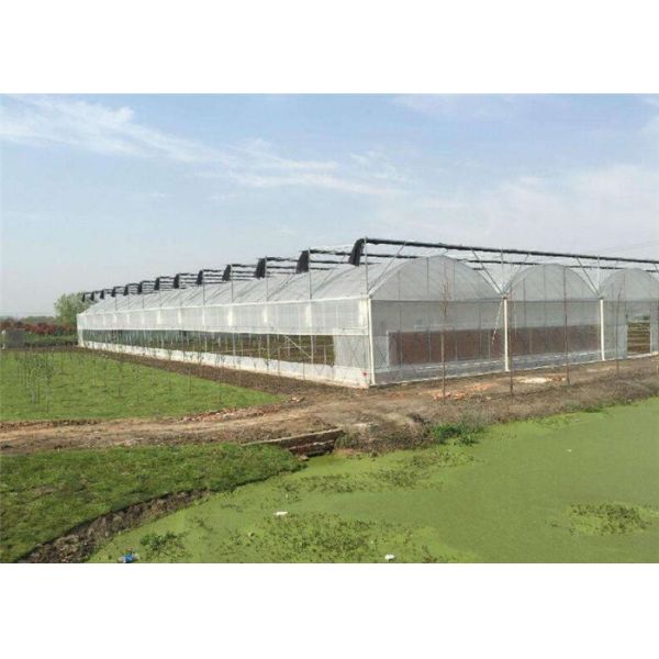 Intelligent Commercial Greenhouse Kits Hot Galvanized Skeleton Designed