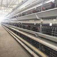 type équipement de 3.0mm Q235 H d'aviculture de planchers de la cage 4 de poulet de batterie