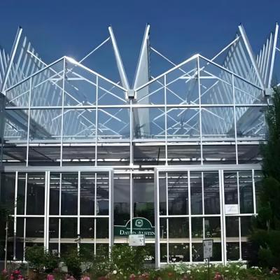 Agriculture usage Strong design greenhouse Dutch Venlo type greenhouse