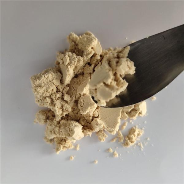 Best Selling Instant Chicory Root Extract In Bulk