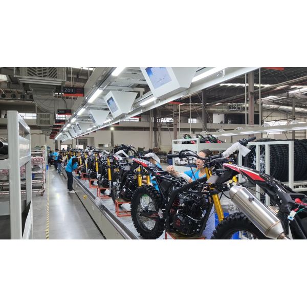 Jiangmen Songfeng Import and Export Co., Ltd.