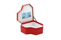 El corazón forma la memoria video video del formato 512MB de la caja de regalo de la pantalla LCD del USB 3GP MKV