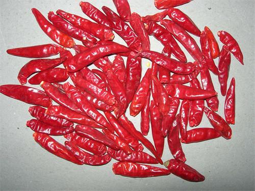 50000-90000 SHU New Generation Chilli Pepper para o potenciômetro quente