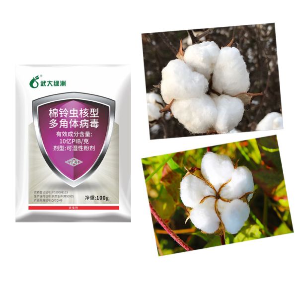 HaNPV WP Чистые органические инсектициды для хлопчатника для овощных культур