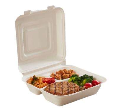 Best Selling Items 3 Compartment Food Container Clamshell Eco Paper for Food Carry