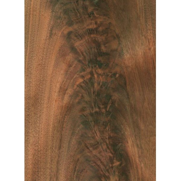 America Black Walnut Natural Wood Veneer Straight Sliced For Fancy Panel Furniture And Flooring In 0.18-0.55mm Thickness