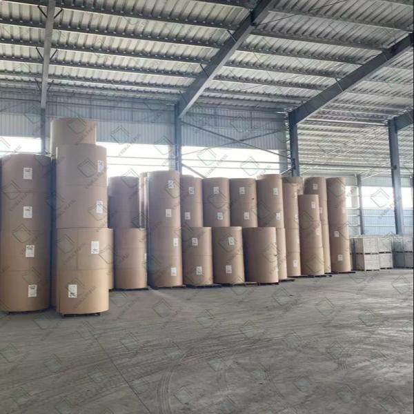 Relatório de ensaio da FDA Alimentos aprovados Papel de artesanato branco para embalagem