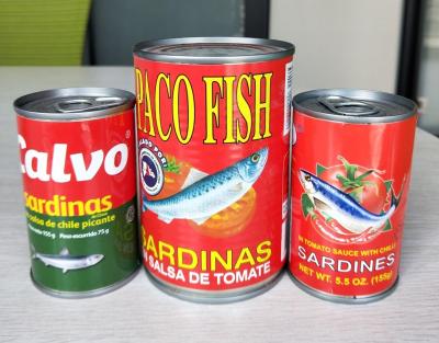 As sardinhas Skinless sem ossos da marca própria, sal embalaram as sardinhas HACCP alistadas
