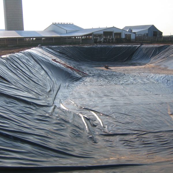 Composite Geomembrane Fish Tank Lining Geomembrane Pond Liner customizable Length