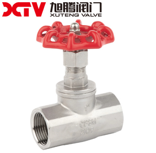 1500wog NPT End SS304 Globe Valve for Pump System 30-Day Refund Guarantee