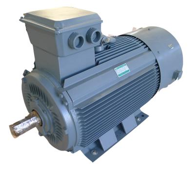 Motor do gerador de ímã permanente da turbina eólica de baixa velocidade