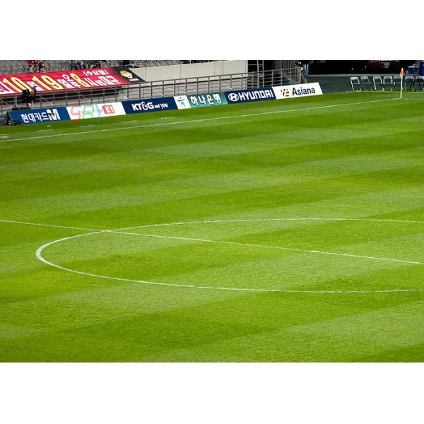 DIP346 Advertising Sport LED Display 16mm Football Pitch Advertising Boards