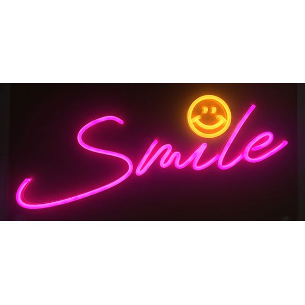 Неоновые вывески дела изготовленные на заказ для утверждения CE дисплея магазина/Адвокатуры