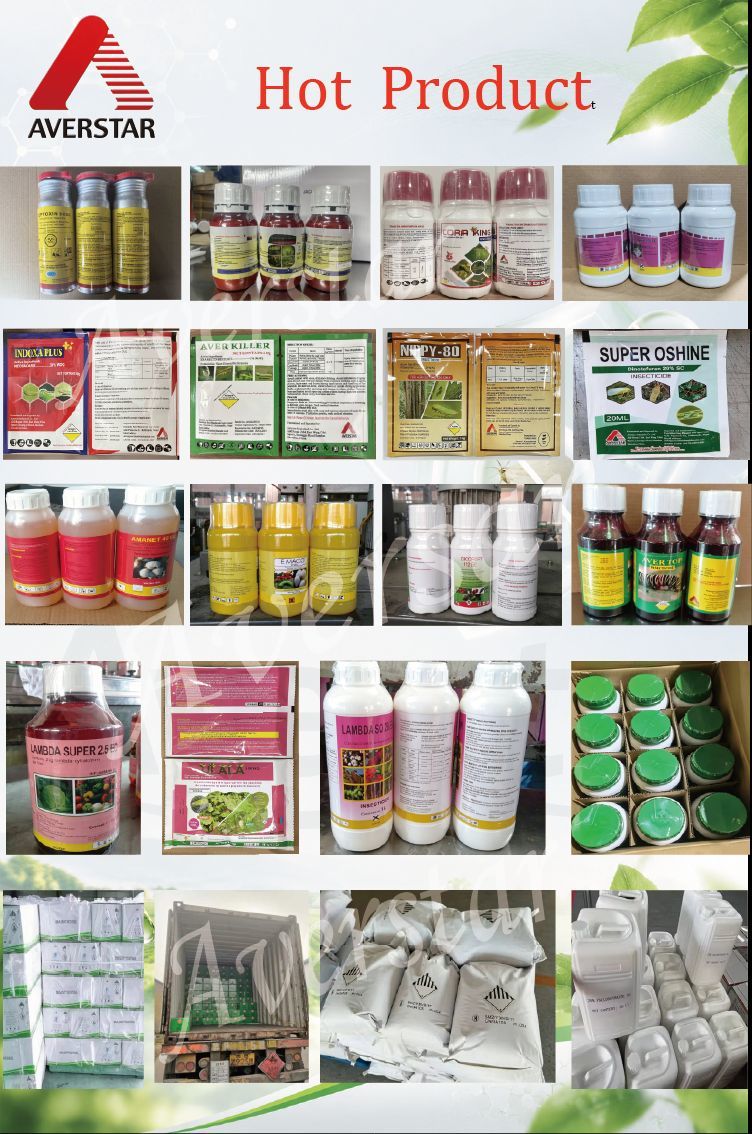Gibberellic Acid 10% Tablet for Plant Growth Regulator MF 77-06-5 State GRANULAR