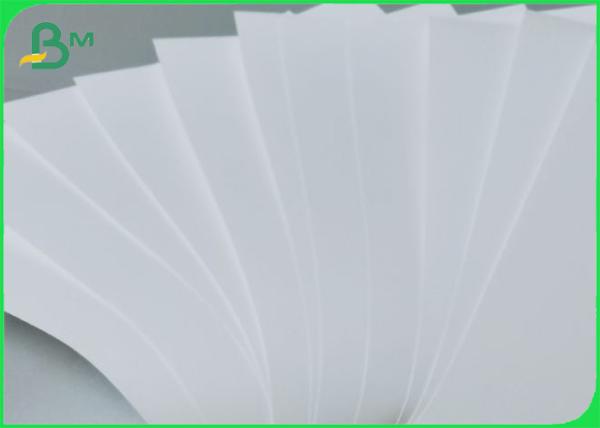 de papier synthétiques d'ANIMAL FAMILIER de 100UM 120UM 200UM imperméabilisent la larme résistante