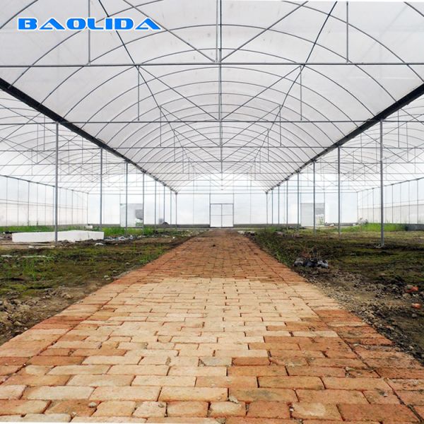 90m Length High Wall Plastic Film Autpmatic System Multi Span Greenhouse