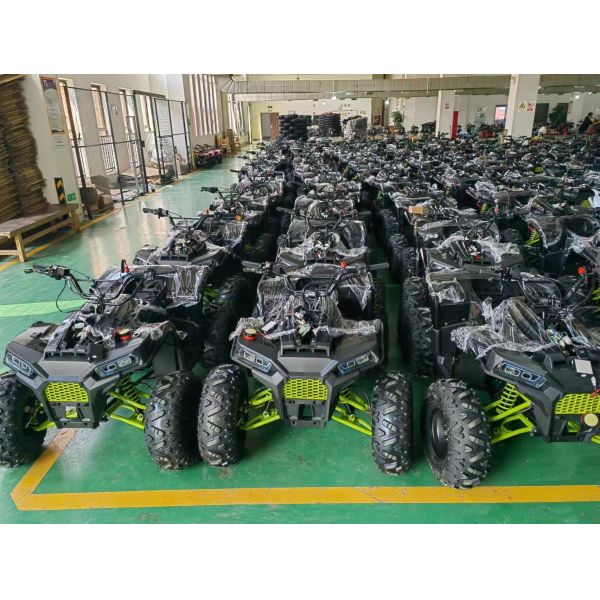 200CC ATV 250CC ATV Adult ATV Quad Bike with Chain Drive and 1000W Electric Pull Start