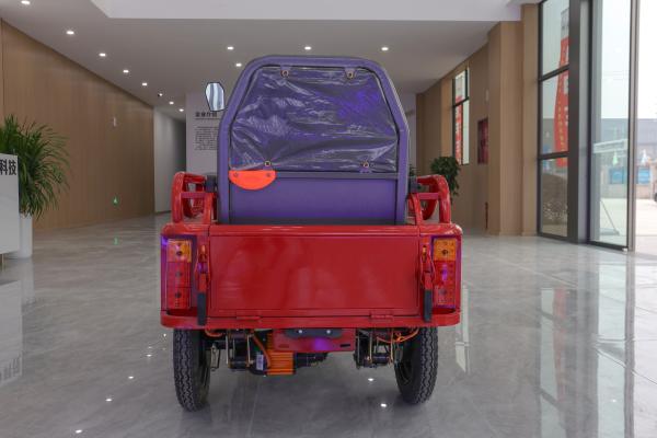 800w Passenger Electric Tricycle With Back Seat Foldable Safety Guardrail