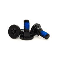Torx TR40 à vis de sécurité en acier noir plaqué en zinc
