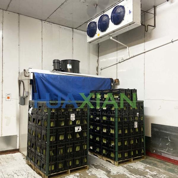 Vegetable/Meat/Fish/Shrimp/Fruit Cool Cold Storage Room with Outdoor Condenser Unit Refrigeration Equip