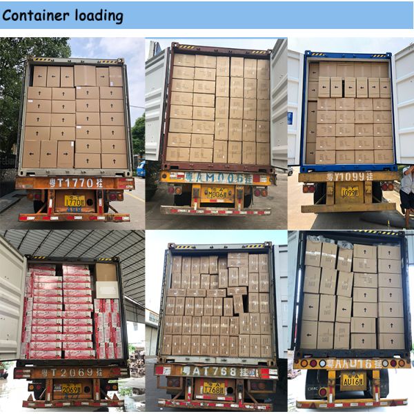 8L-12L Digital LED Gas Water Heater Forced Exhaust Copper Heat Exchanger