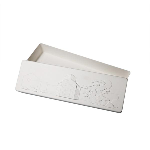 Custom Biodegradable Printing Paper Molded Pulp Tray Box For Holiday Gift Packaging