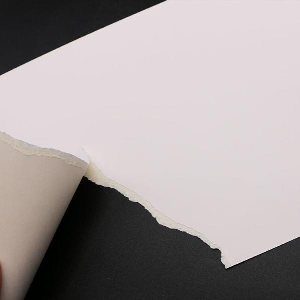 Duplex Board Ivory White Packaging Paper, GC1 GC2/FBB/C1S, 90-400GSM