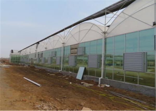 Beautiful Appearance Agricultural Glass Greenhouse Venlo Type For Exhibition