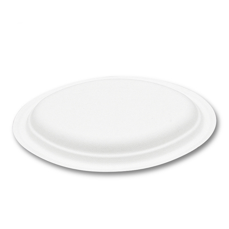 Eco-Friendly Biodegradable Paper Pulp Food Plate Paper Food Containers Customization