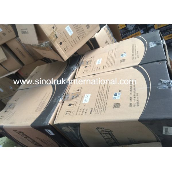 Heavy Duty Truck Spare Parts WEICHAI Air Filter 4110000006003 (1109070-K3250A)