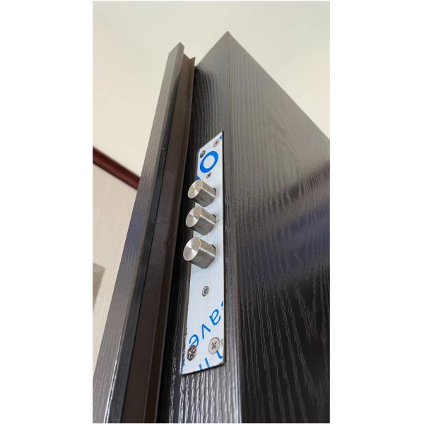 Steel Security Door for Apartments  Modern Residential Entry Door  AntiTheft  Durable