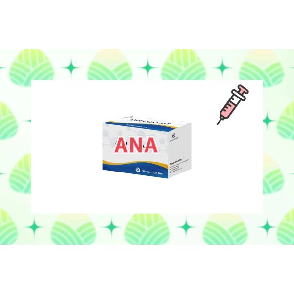 Sensitivity ANA Screen IgG Elisa Test Kit For Serum/Plasma Detection At 2-8°C