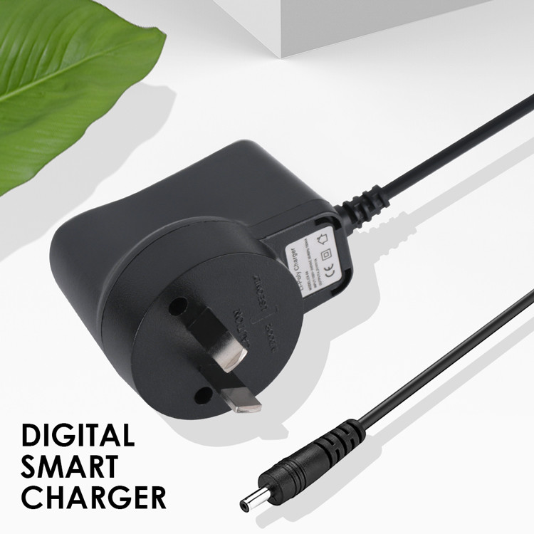 OEM электропитания переходника 4.2V 1A силы стены DC AC 50g/ODM
